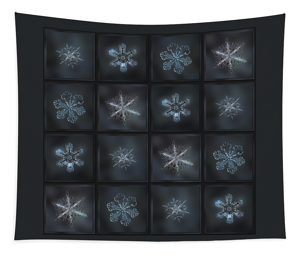 Snowflake Tapestry featuring the photograph Under the grey sky II by Alexey Kljatov
