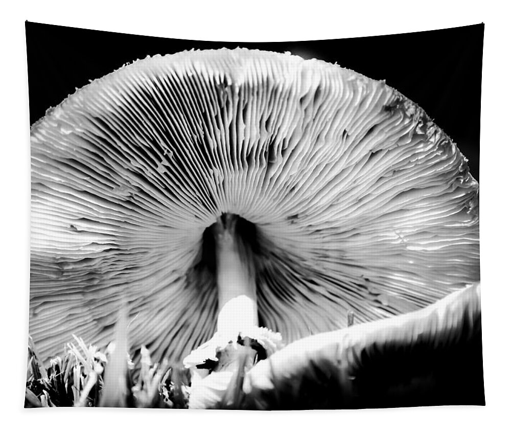 Mushrooms Black And White Tapestry featuring the photograph Underworld Secrets by Karen Wiles
