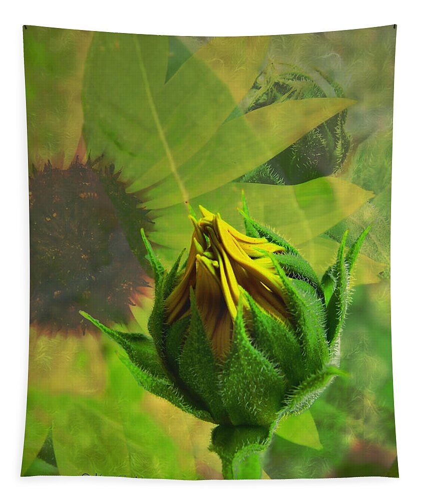 Sunflower Tapestry featuring the digital art Unfolding Sunflower by Kae Cheatham