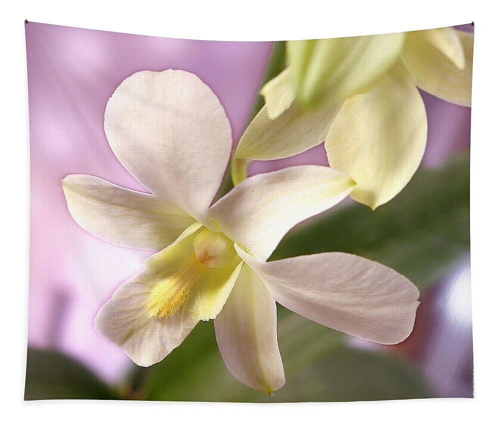 White Flower Tapestry featuring the photograph Unique White Orchid by Mike McGlothlen