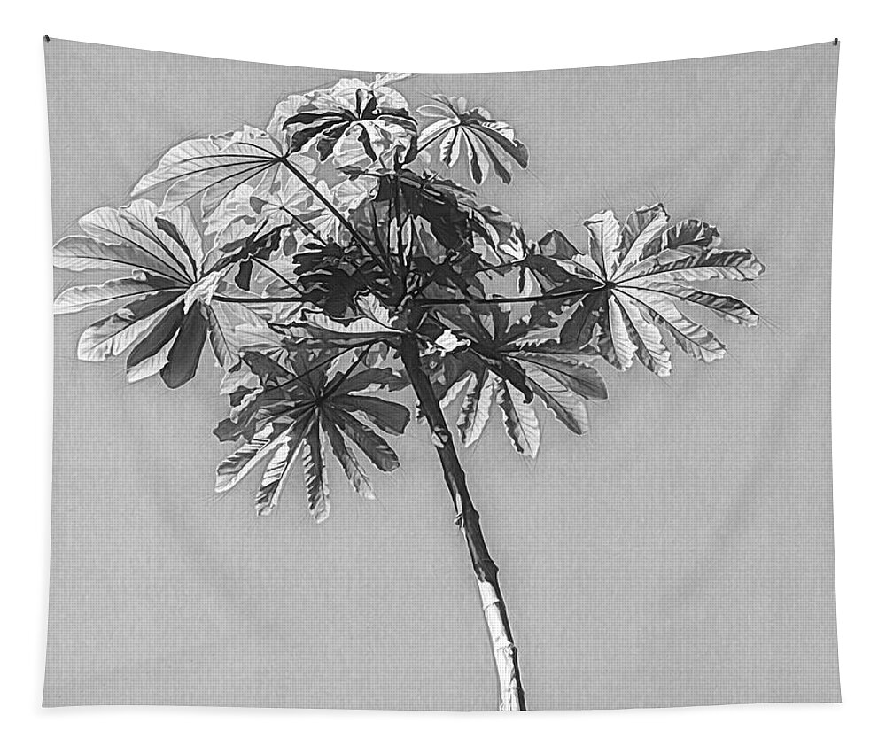 Tree Tapestry featuring the photograph Unusual Tree Black and White by Rosalie Scanlon