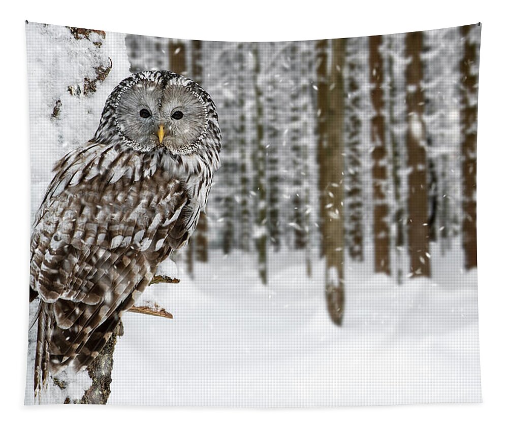Ural Owl Tapestry featuring the photograph Ural Owl in the Snow by Arterra Picture Library