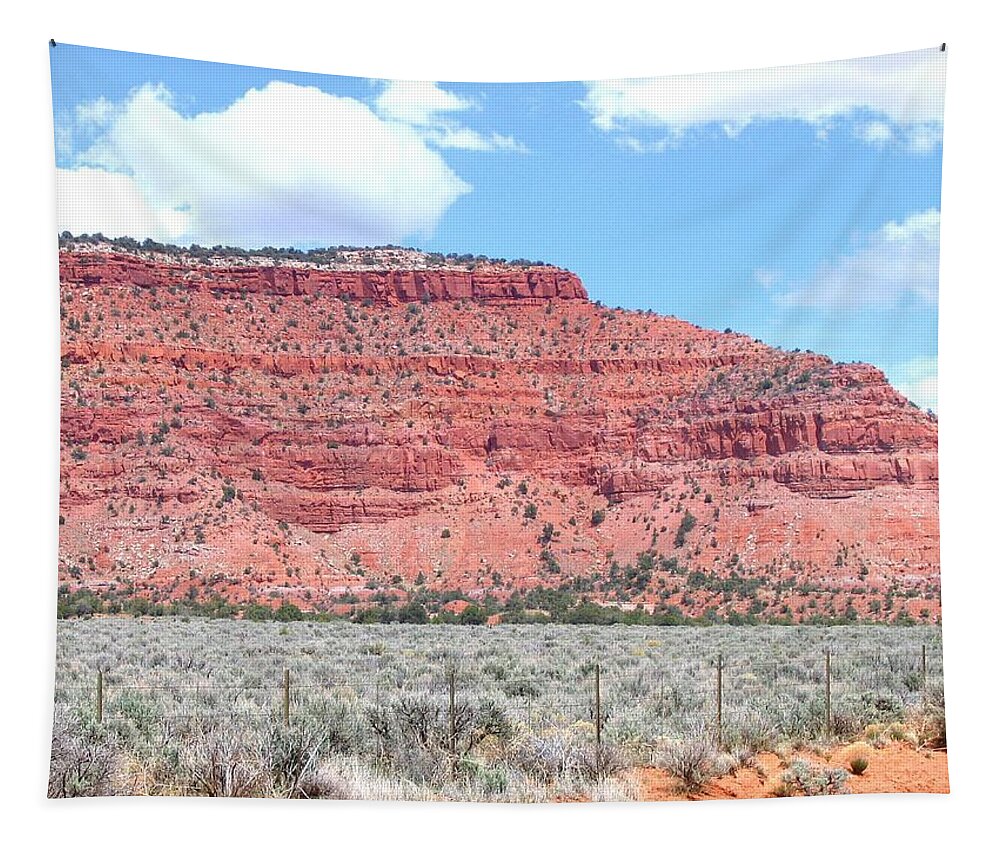 Utah Tapestry featuring the photograph Utah 4 by Will Borden