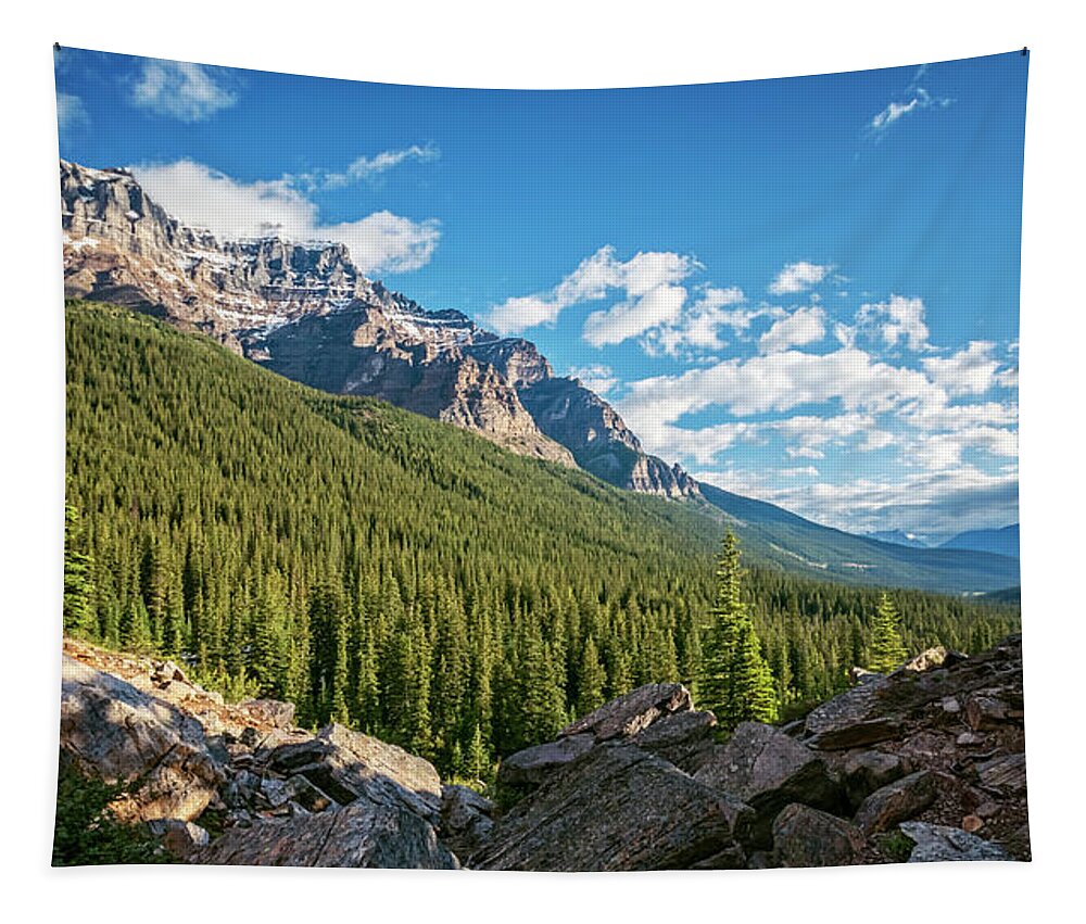 Joan Carroll Tapestry featuring the photograph Valley Near Moraine Lake Banff by Joan Carroll