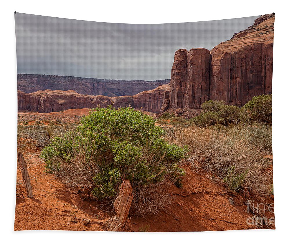 Monument Valley Print Tapestry featuring the photograph Valley of God by Jim Garrison