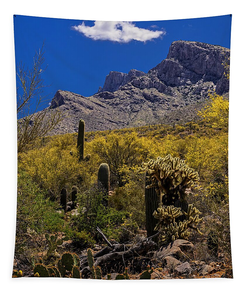 Design Tapestry featuring the photograph Valley View No.2 by Mark Myhaver