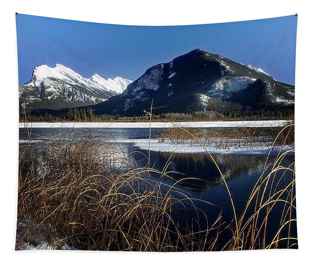 Banff Tapestry featuring the photograph Vermillion Lake by Thomas Nay