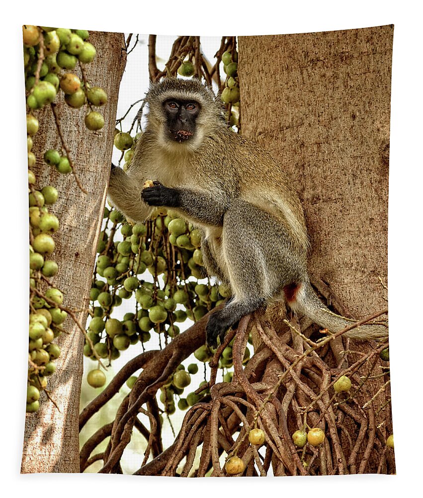 Africa Tapestry featuring the photograph Vervet Monkey by Mitchell R Grosky