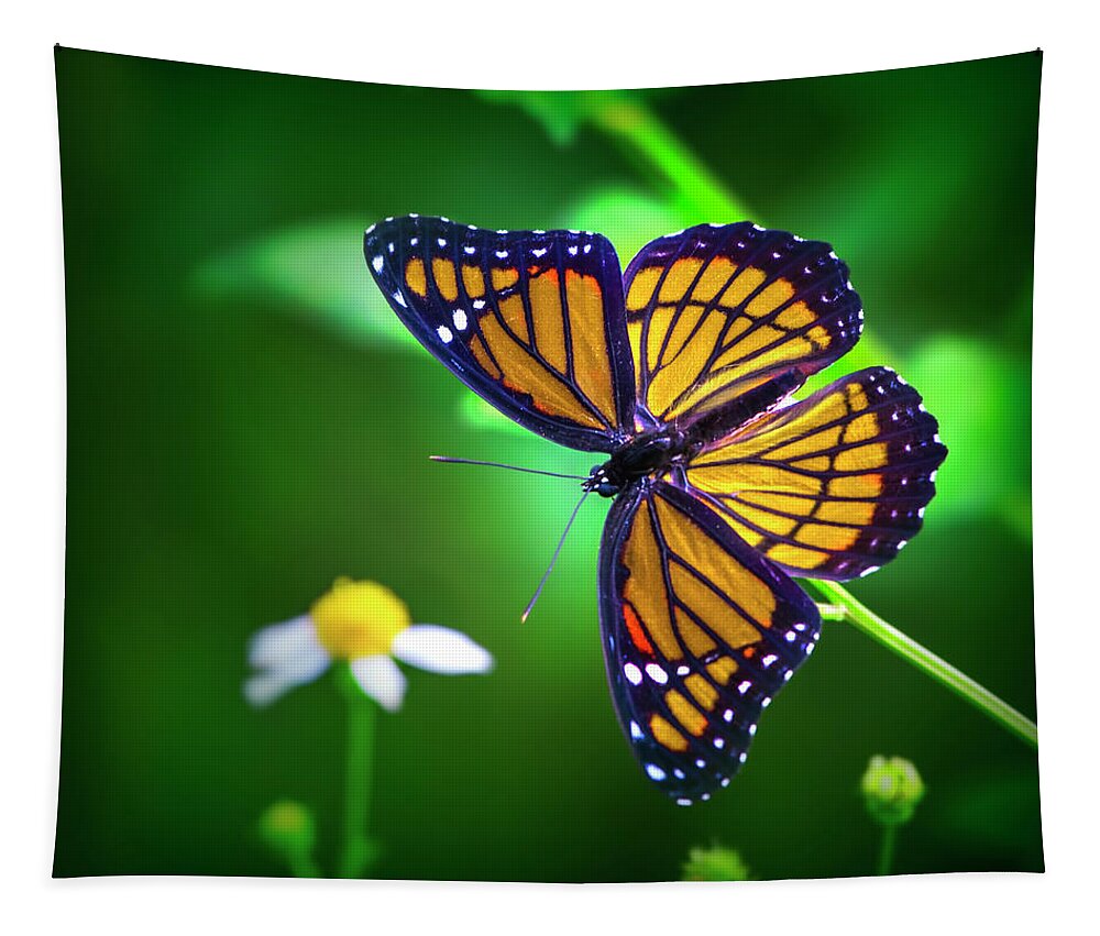 Monarch Butterfly Tapestry featuring the photograph Viceroy Butterfly by Mark Andrew Thomas