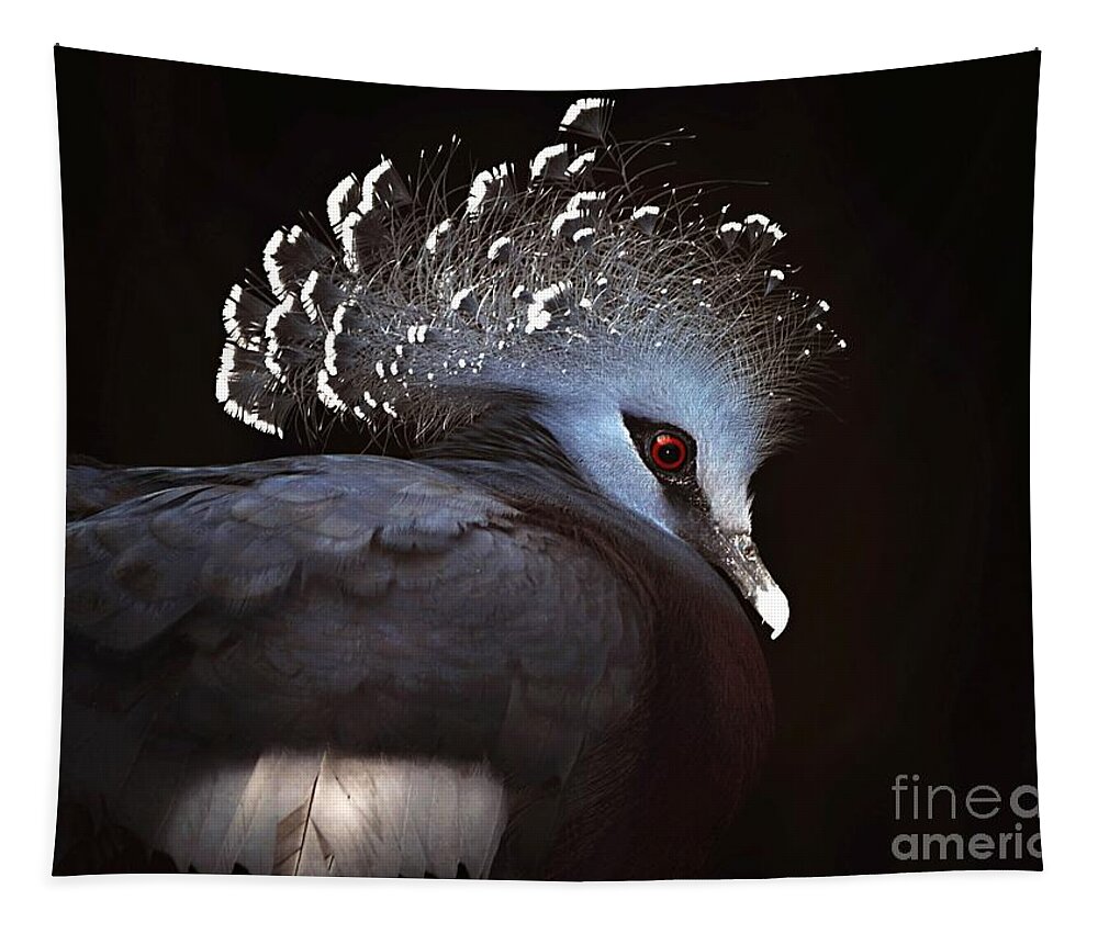 Bird Tapestry featuring the photograph Victoria Crowned Pigeon by Elaine Manley