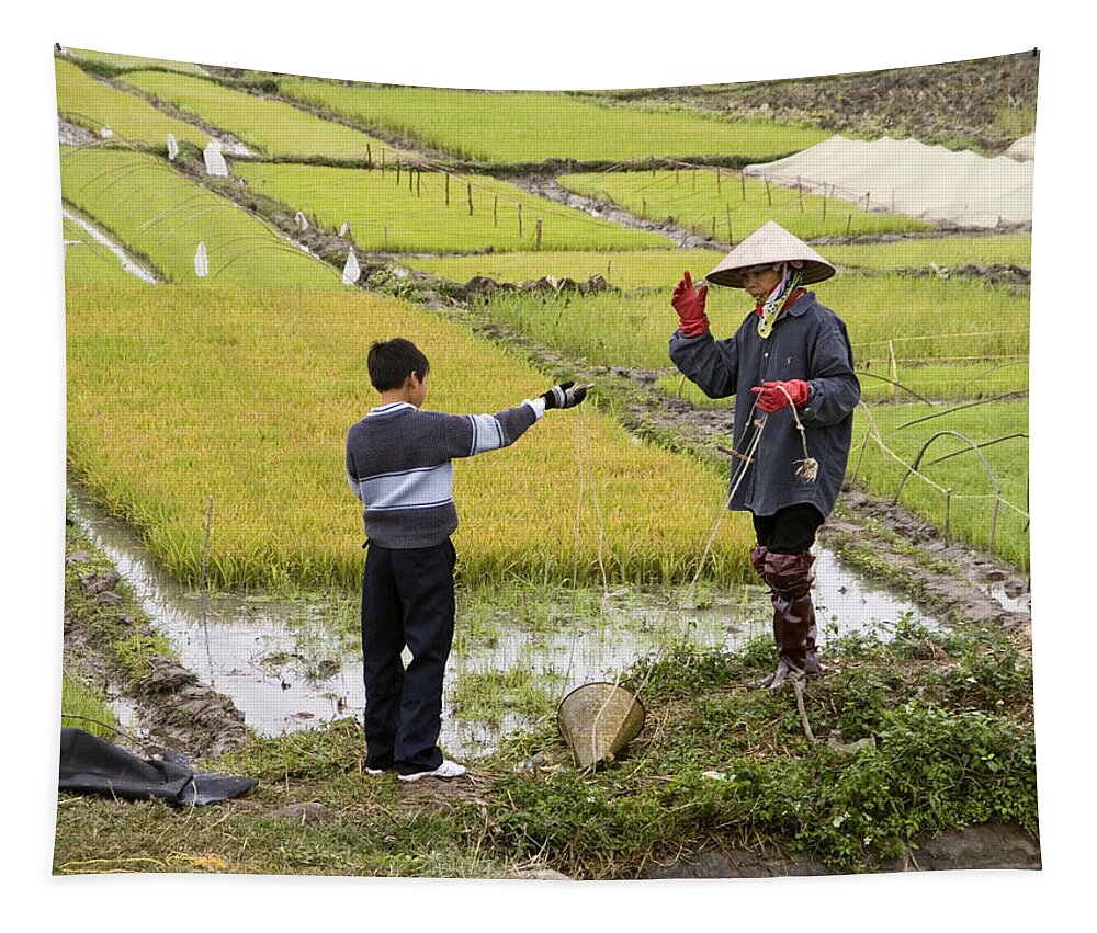 Vietnamese Woman Tapestry featuring the photograph Vietnam Rice Paddie Workers by Sally Weigand