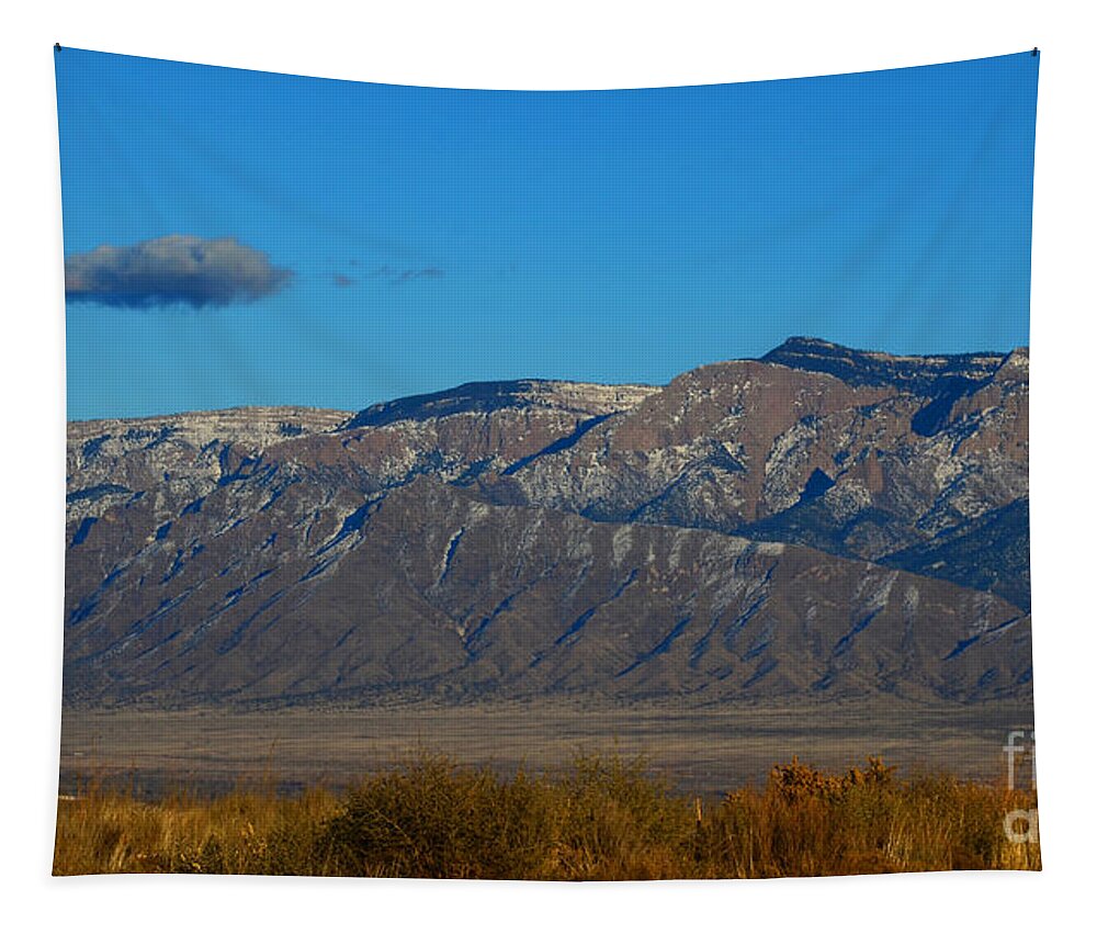 Taylor Ranch Tapestry featuring the photograph View from taylor ranch by Robert WK Clark