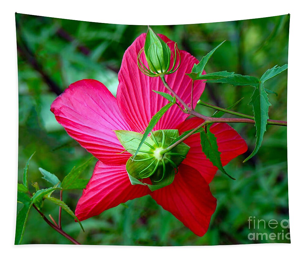 Hibiscus Tapestry featuring the photograph View from Underneath by Sue Melvin