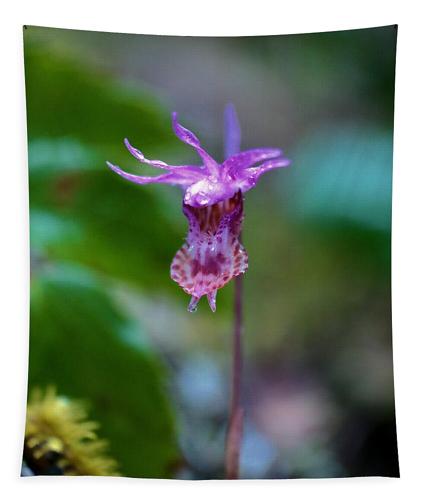 Flowers Tapestry featuring the photograph View of a mountain orchid by Jeff Swan