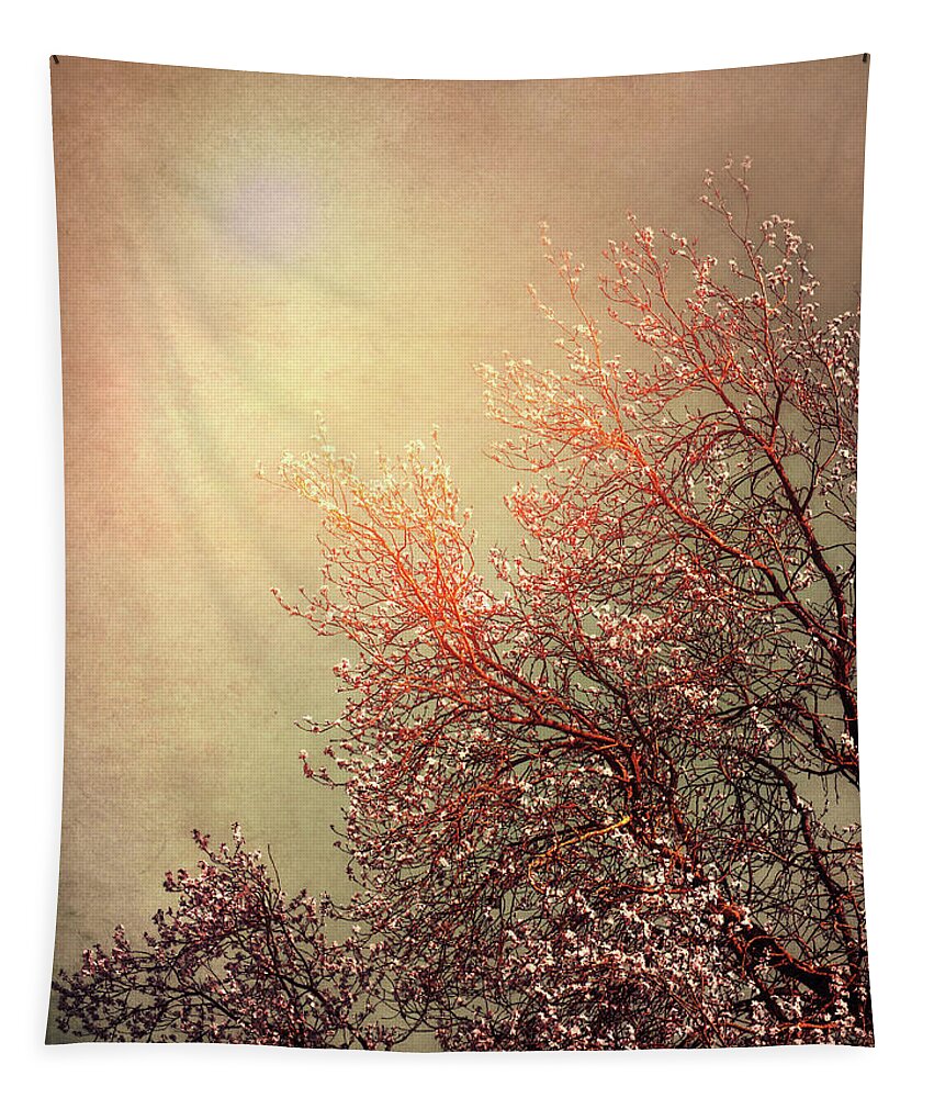 Vintage Tapestry featuring the photograph Vintage Cherry Blossom by Wim Lanclus