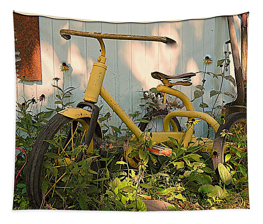 Architecture Tapestry featuring the photograph Vintage Tricycle by Kathy Barney