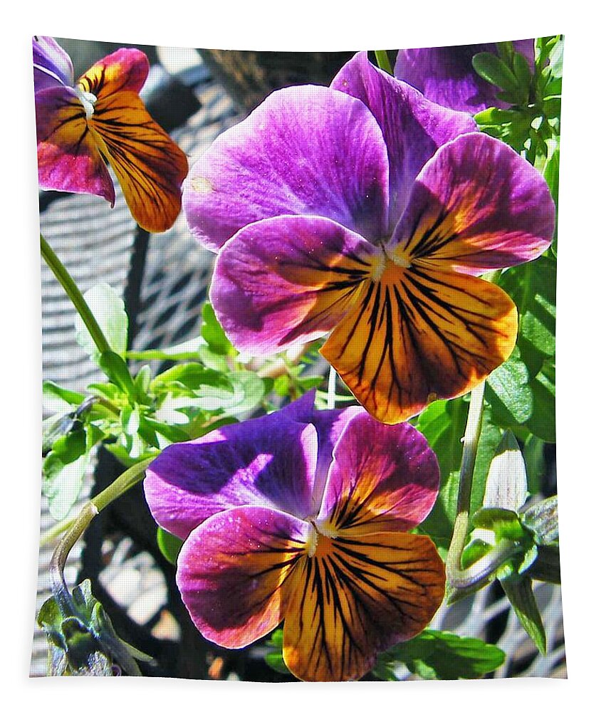 Nature Tapestry featuring the photograph Violas by Lizi Beard-Ward