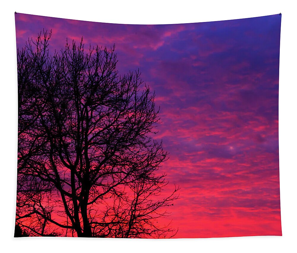 Virginia Tapestry featuring the photograph Virginia Sunset by Travis Rogers