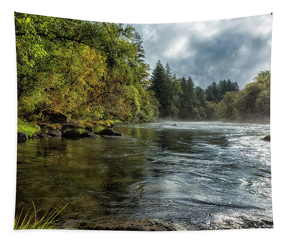 Mckenzie River Tapestry featuring the photograph Vying for the Day by Belinda Greb