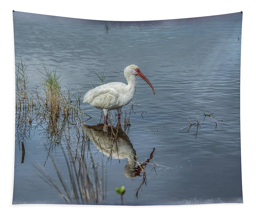 Animal Tapestry featuring the photograph Wading White Ibis by John M Bailey