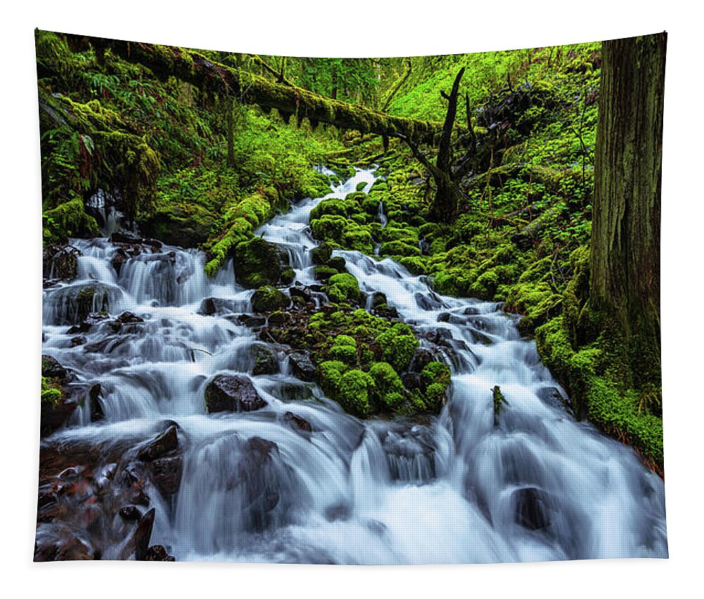 Wahkeena Tapestry featuring the photograph Wahkeena by Chad Dutson