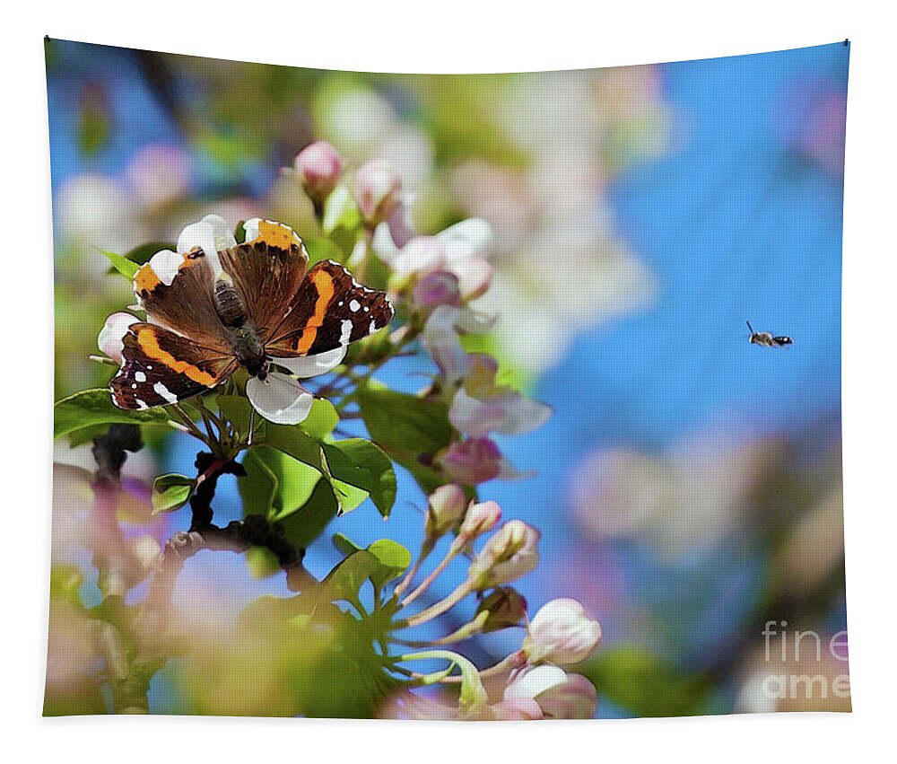 Butterfly Tapestry featuring the photograph Wait for me by Tatiana Travelways
