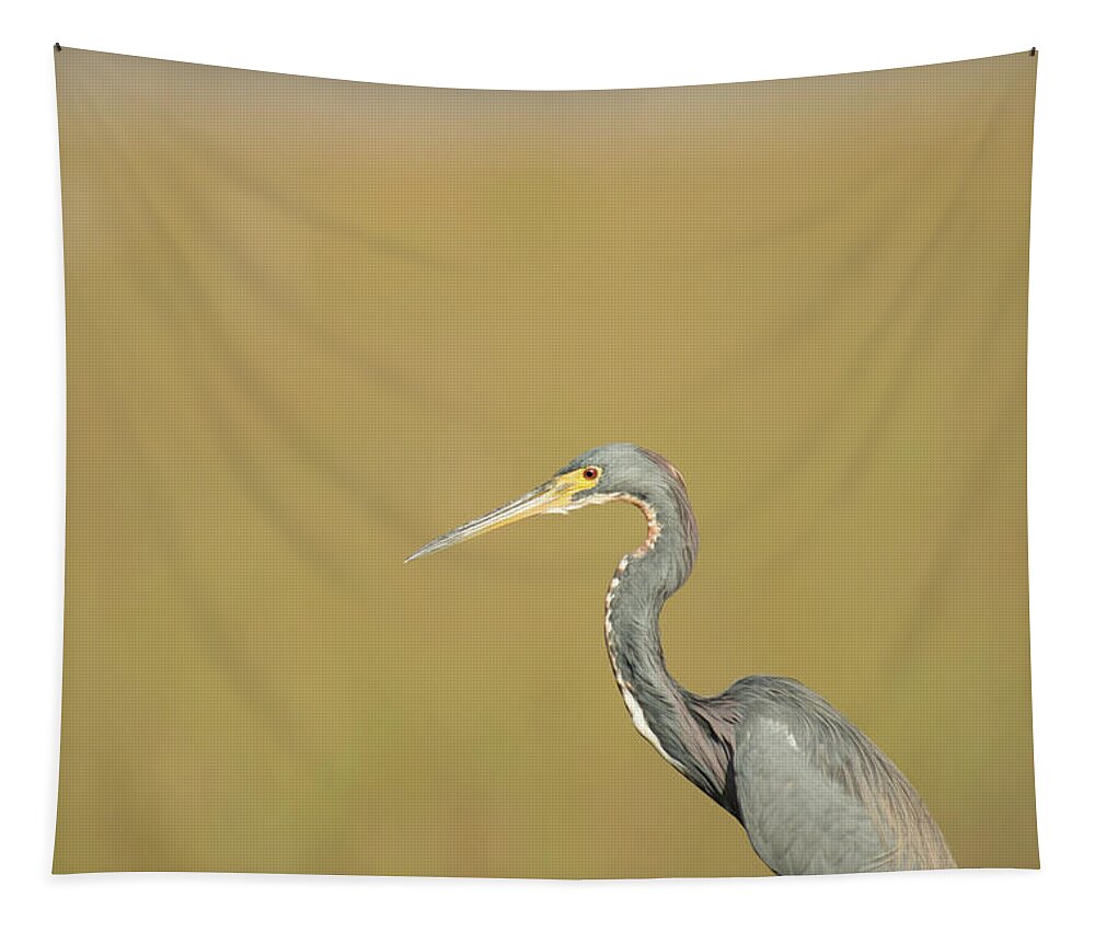 Everglades National Park Tapestry featuring the photograph Waiting by Frank Madia