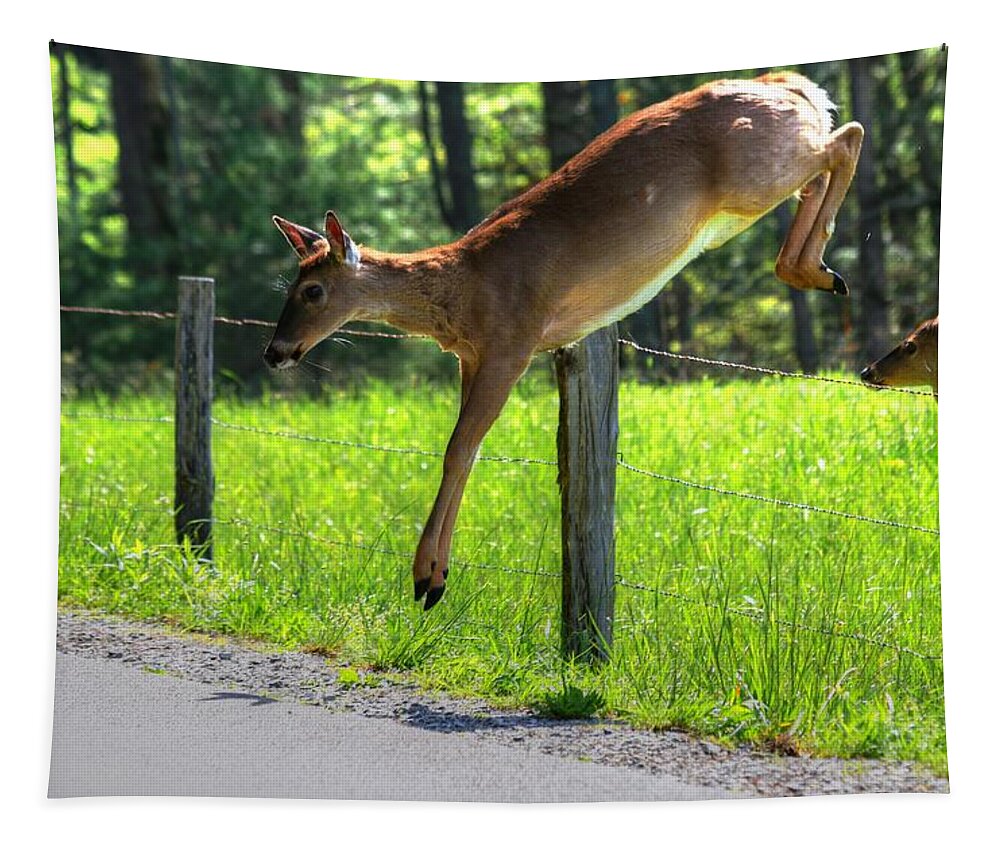 Deer Tapestry featuring the photograph Waiting In Line by Carol Montoya