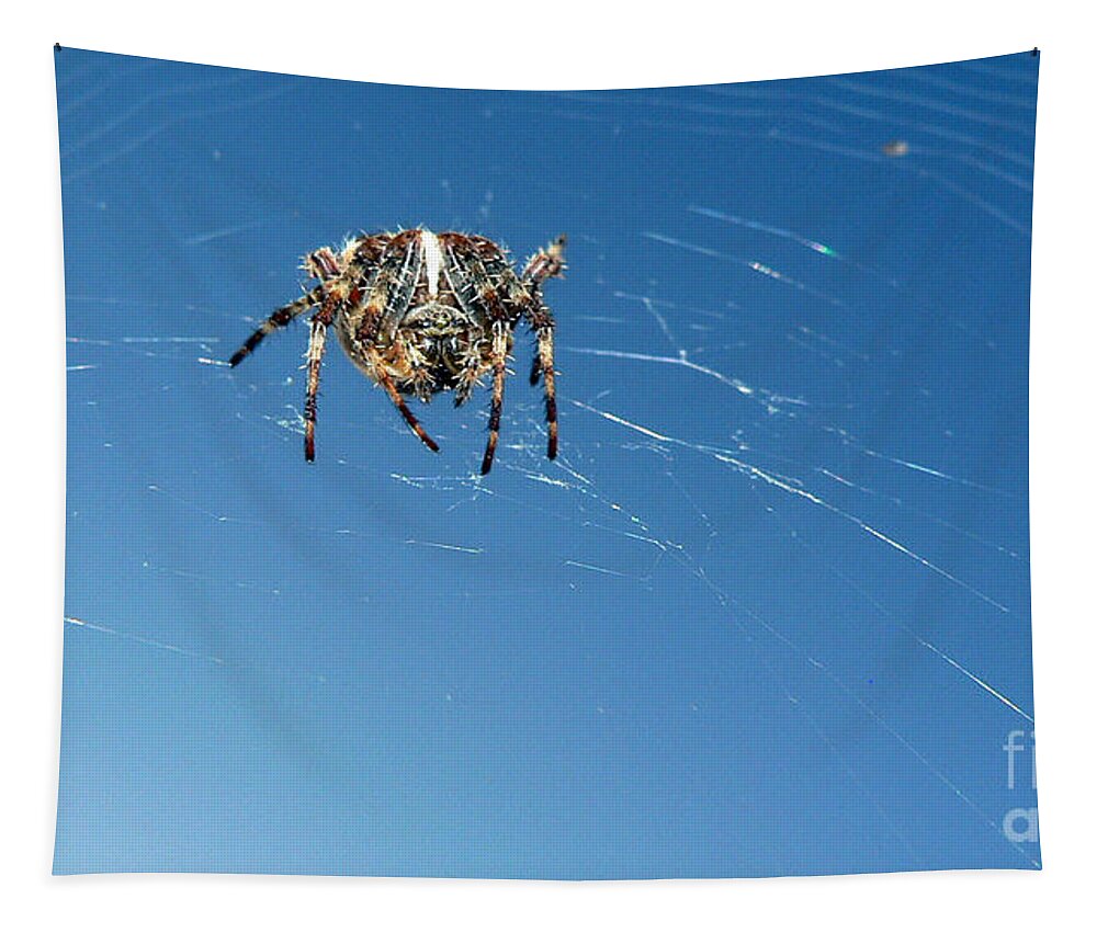 Spider Tapestry featuring the photograph Waiting by Larry Keahey