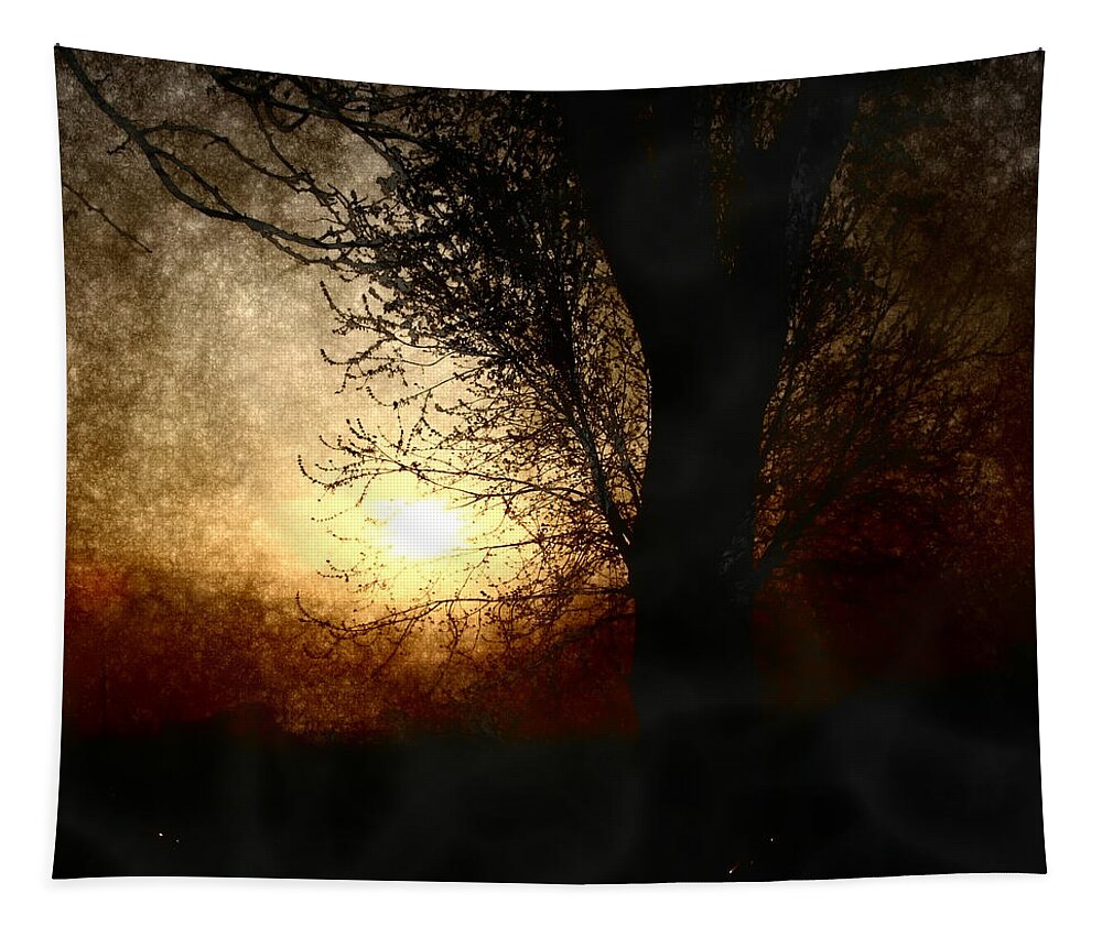 Landscape Tapestry featuring the photograph Walk Quietly Into the Night with Me. by Julie Lueders 