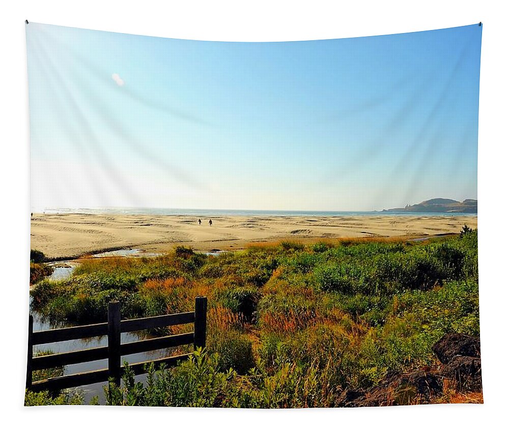 Photo Tapestry featuring the photograph Walk the Beach by Richard Gehlbach