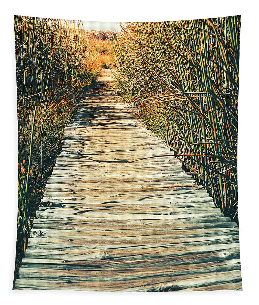 Cape Town Tapestry featuring the photograph Walking path by Alexey Stiop