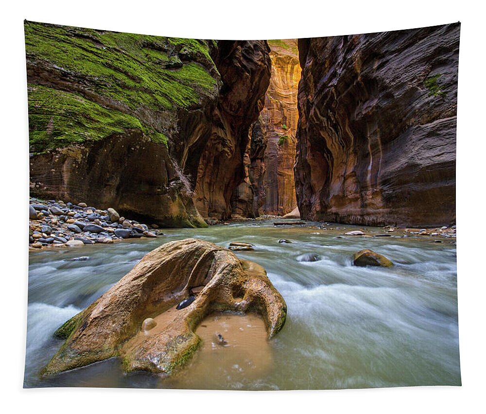 Zion Tapestry featuring the photograph Wall Street of the Narrows by Wesley Aston