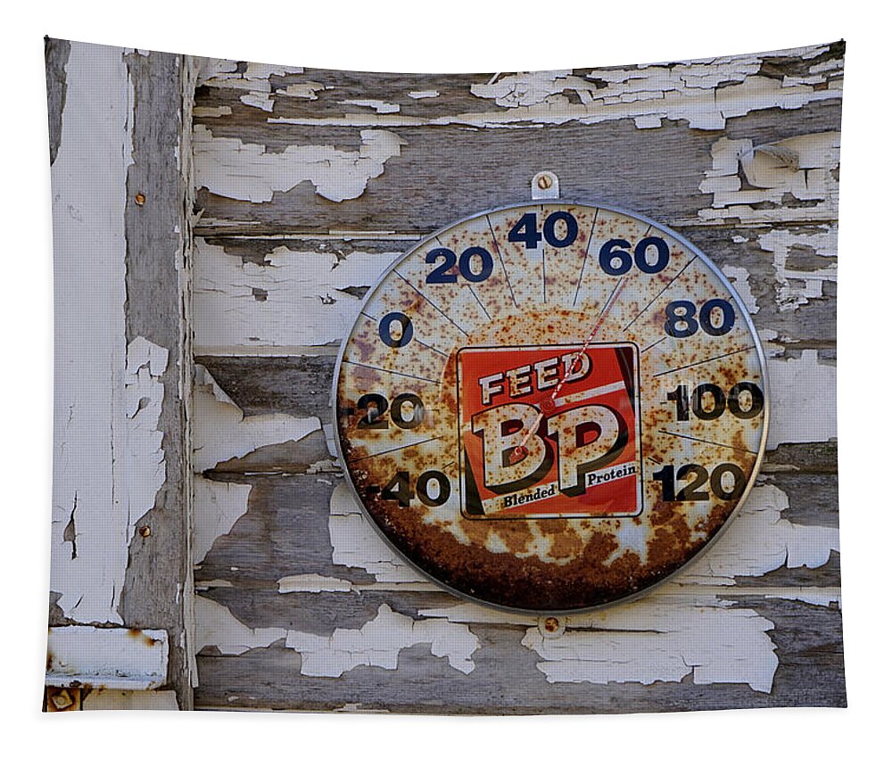 Thermometer Tapestry featuring the photograph Warm Day by Brooke Bowdren