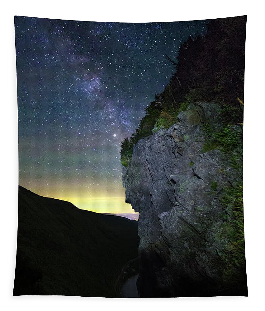 Watcher Tapestry featuring the photograph Watcher Milky Way by Chris Whiton
