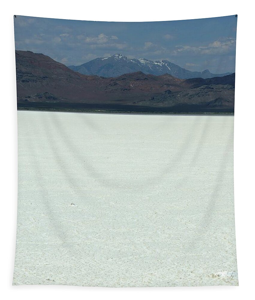 Nature Tapestry featuring the photograph Water Above Salt Below by Vincent Green