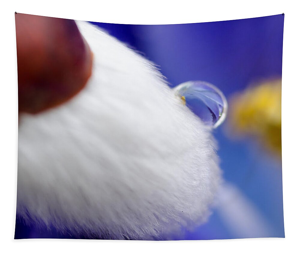 Macro Photography Tapestry featuring the photograph Water Drop on Willow by Crystal Wightman