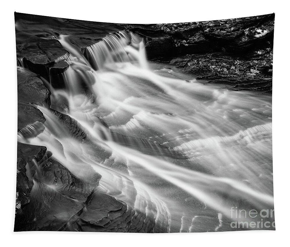 Water Tapestry featuring the photograph Water falls by Paul Quinn