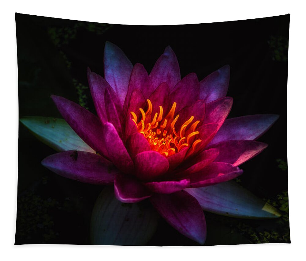 Jay Stockhaus Tapestry featuring the photograph Water Lily 2 by Jay Stockhaus