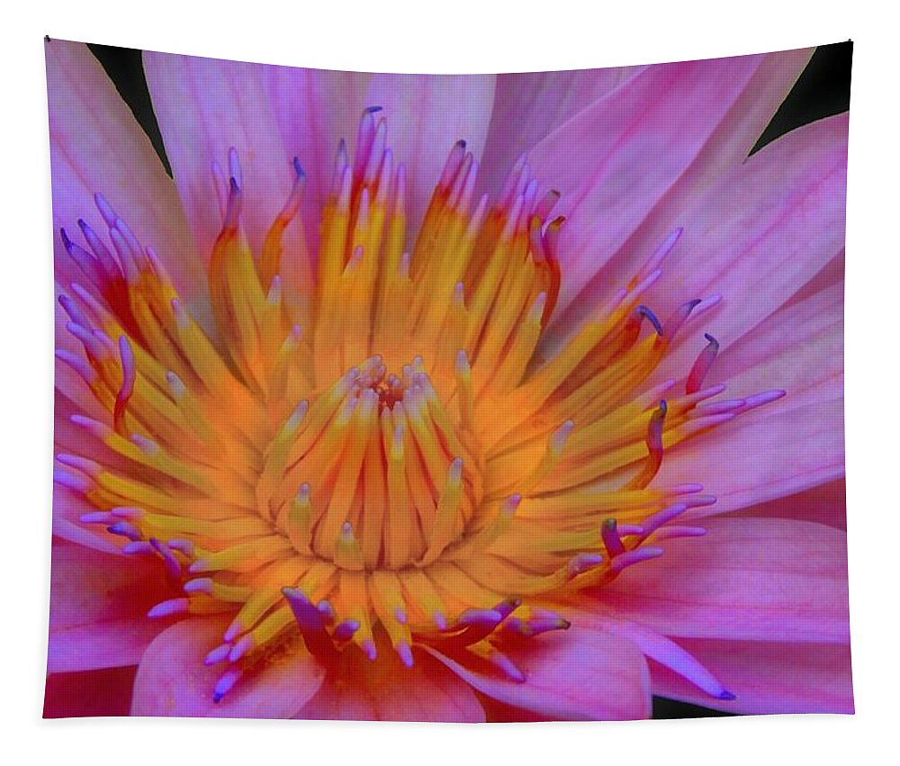 Flower Tapestry featuring the photograph Water Lily by DJ Florek