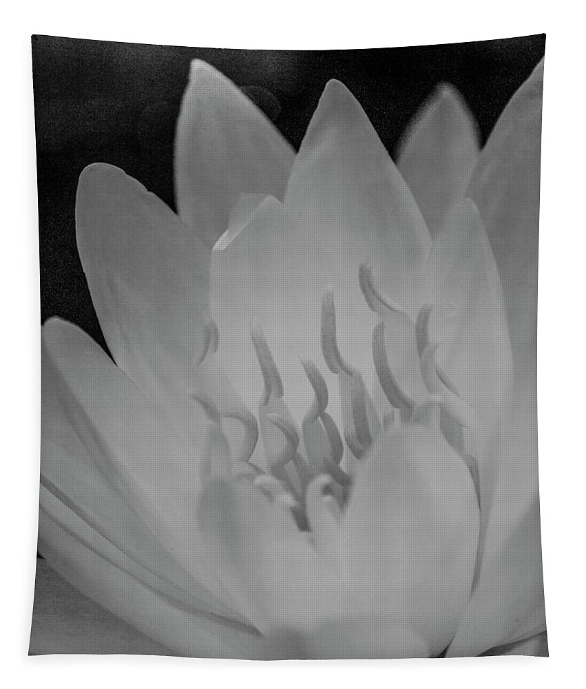Water Lily Tapestry featuring the photograph Water Lily Soft Monochrome by Teresa Wilson