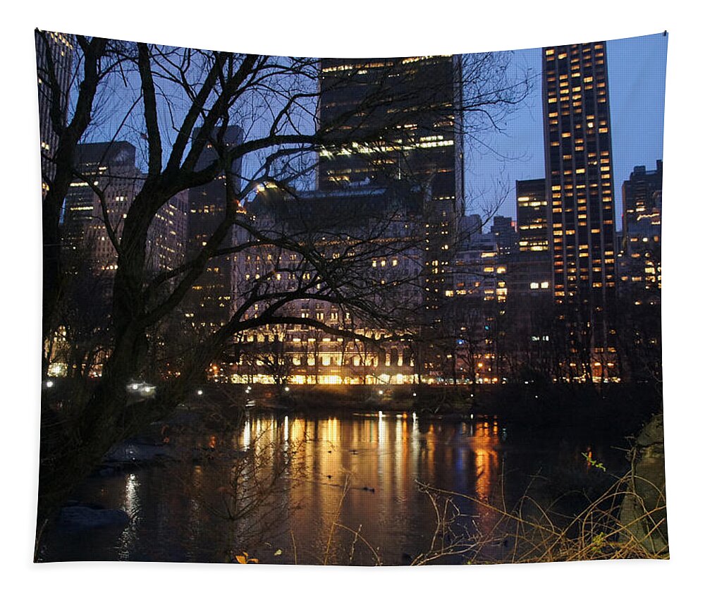 Central Park Nyc Tapestry featuring the photograph Water of the pond by Elena Perelman