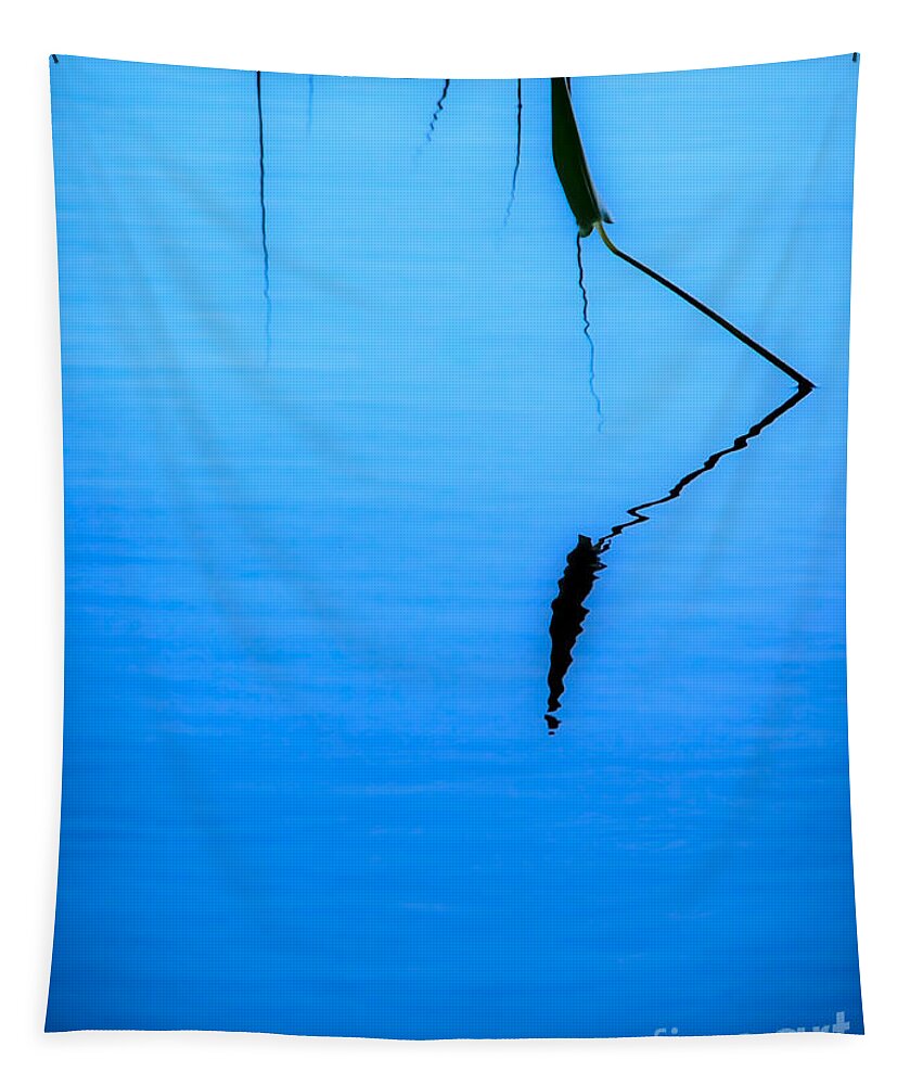 Minimalism Tapestry featuring the photograph Water Plants - Minimalist by James Aiken