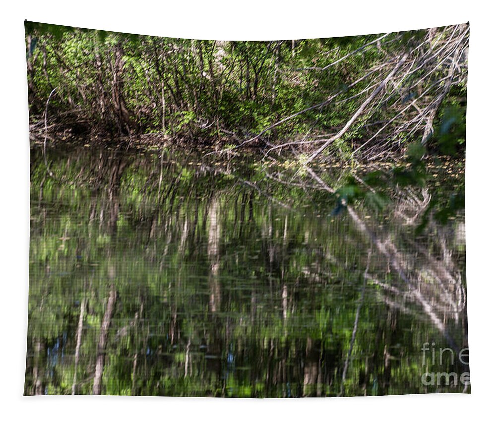 Swamp Tapestry featuring the photograph Water Reflection by William Norton