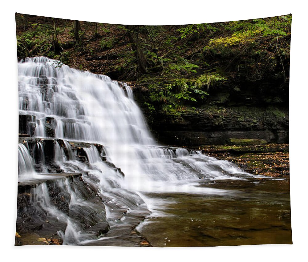Waterfalls Tapestry featuring the photograph Waterfall Cascade Salt Springs State Park by Christina Rollo