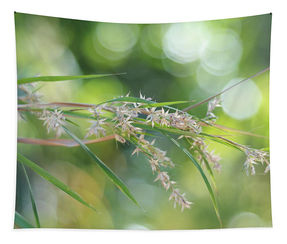  Jenny Rainbow Fine Art Photography Tapestry featuring the photograph Waterfall of Lights. Grass Art by Jenny Rainbow