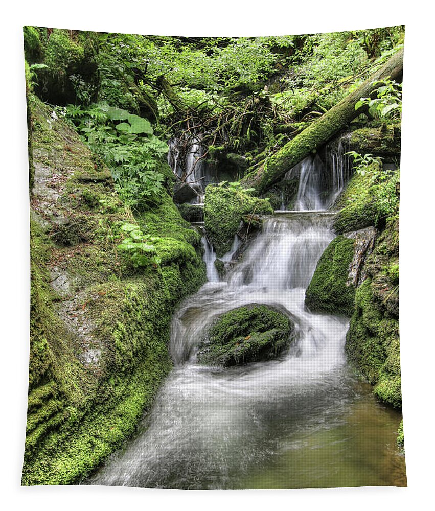Waterfall Tapestry featuring the photograph Waterfalls and rapids on the White Opava stream by Michal Boubin