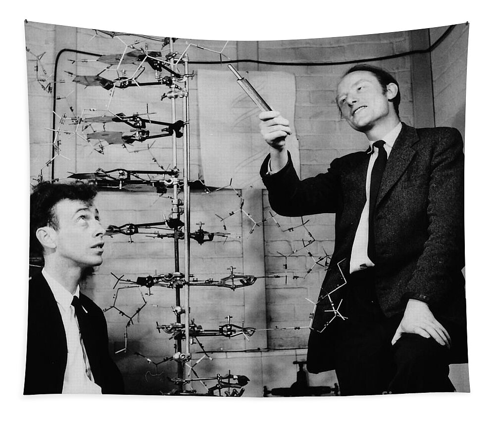 Watson Tapestry featuring the photograph Watson and Crick by A Barrington Brown and Photo Researchers