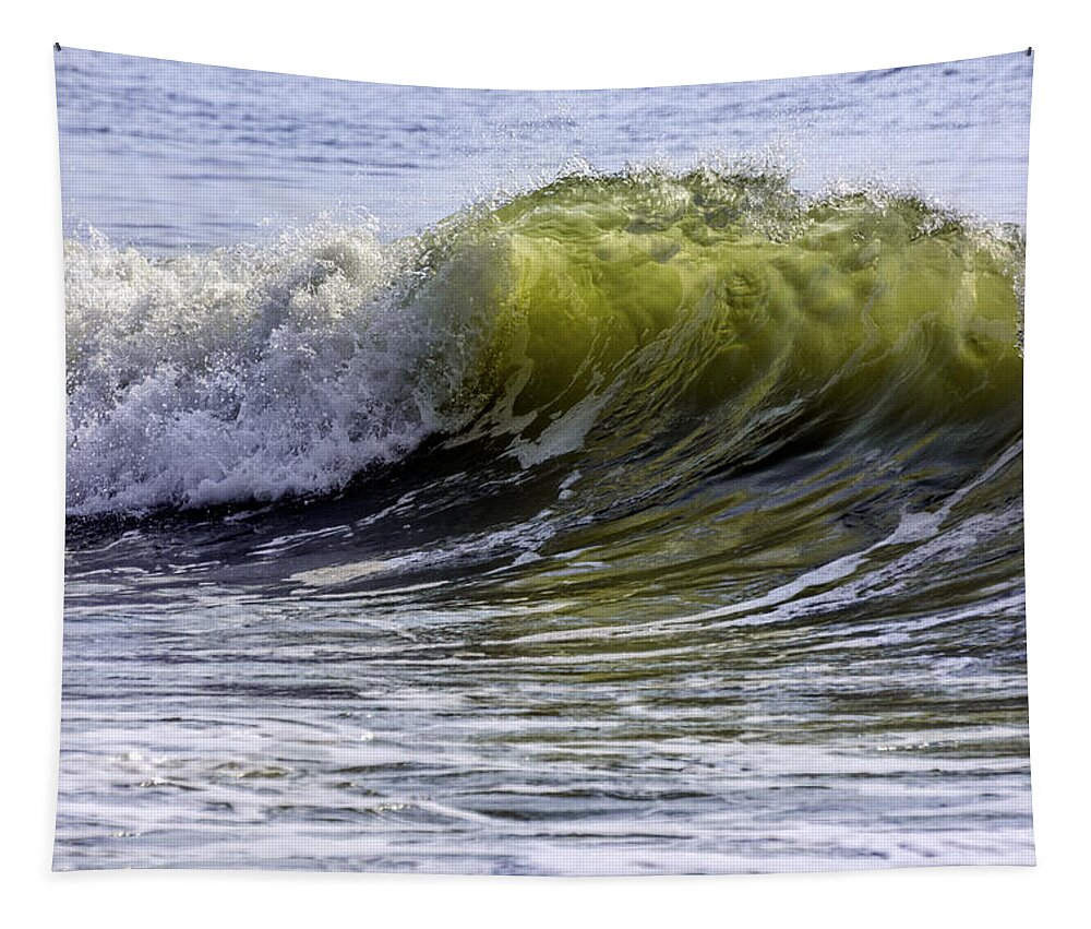 Sea Green Tapestry featuring the photograph Wave#32 by WAZgriffin Digital