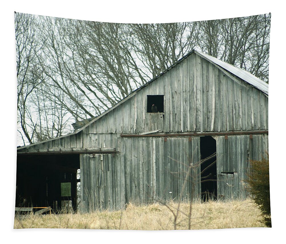 Barn Tapestry featuring the photograph Weathered Barn in Winter by Cricket Hackmann